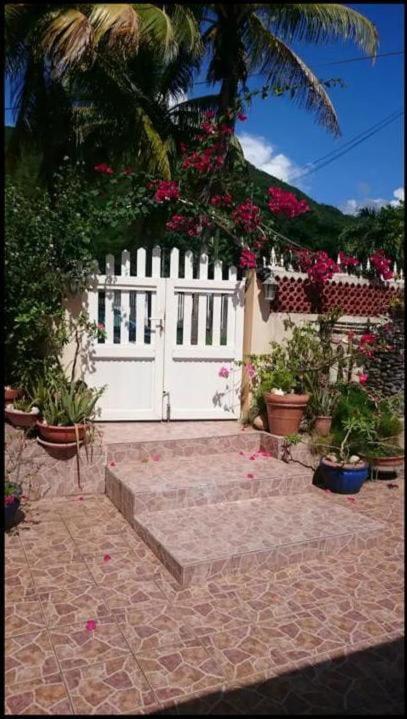 Case-Pilote Casa Lof Bed & Breakfast エクステリア 写真